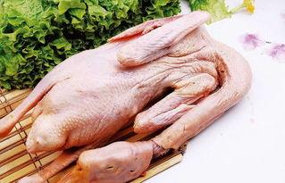 吃瓜鹅爆料的视频